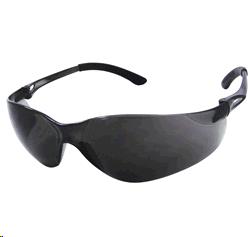 Rental store for GLASSES, NSX TURBO GRAY in Elk Grove CA